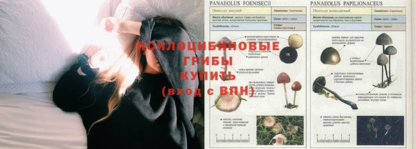 кокаин Карпинск
