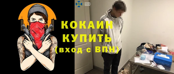 скорость Каменногорск