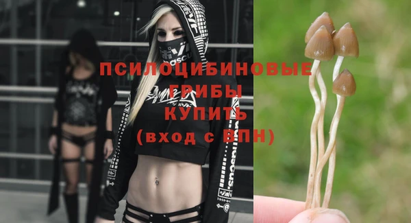 mix Касимов