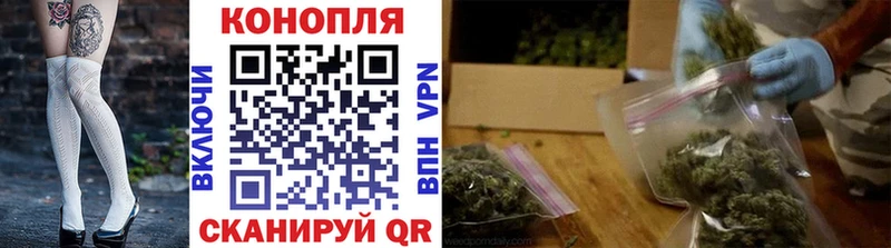 Купить где  Костомукша  Бошки марихуана SATIVA & INDICA 
